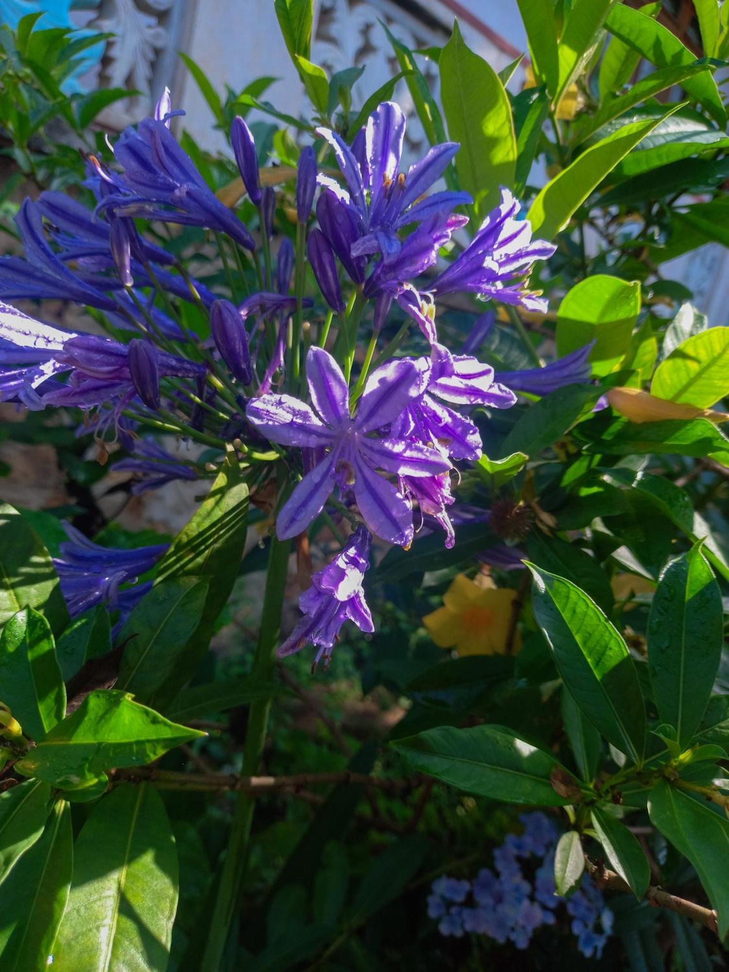 Ella Happy View Διαμέρισμα Εξωτερικό φωτογραφία